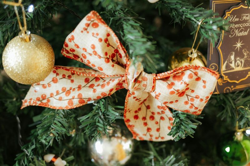Árvore de Natal Decorada: Beautiful Ideas to Style Your Christmas Tree