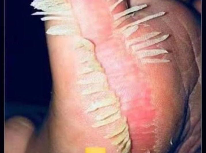 Ten Signs That Your Body Is Not in Balance